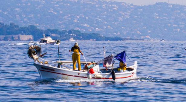 Dernier webinaire sur la pêche