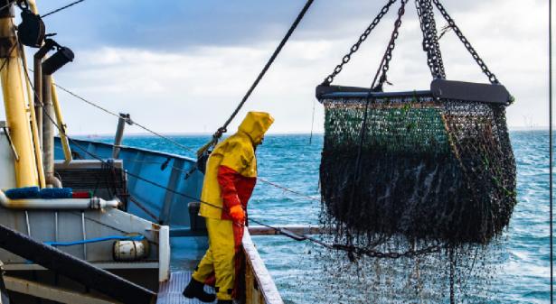 Pêcheur relève un filet