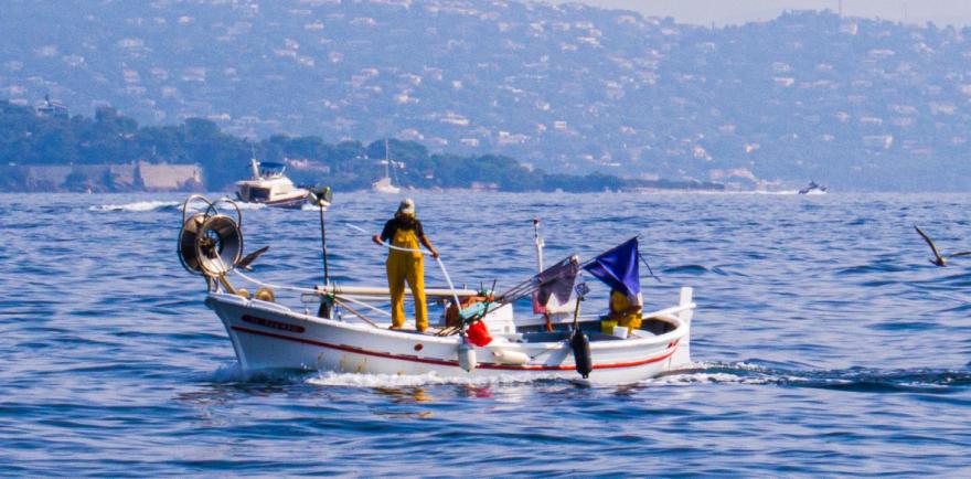 Dernier webinaire sur la pêche