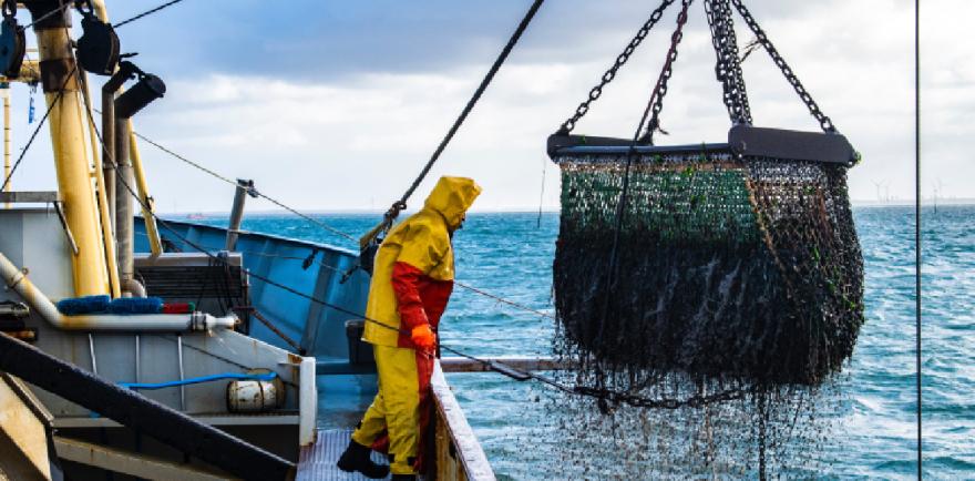 Pêcheur relève un filet